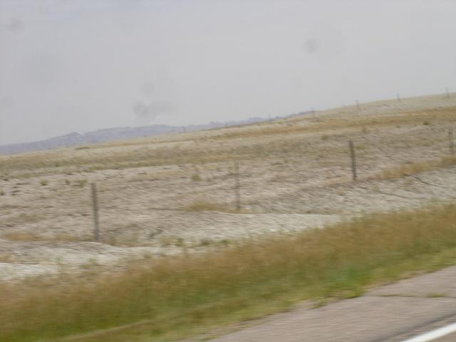 DSC07857.JPG