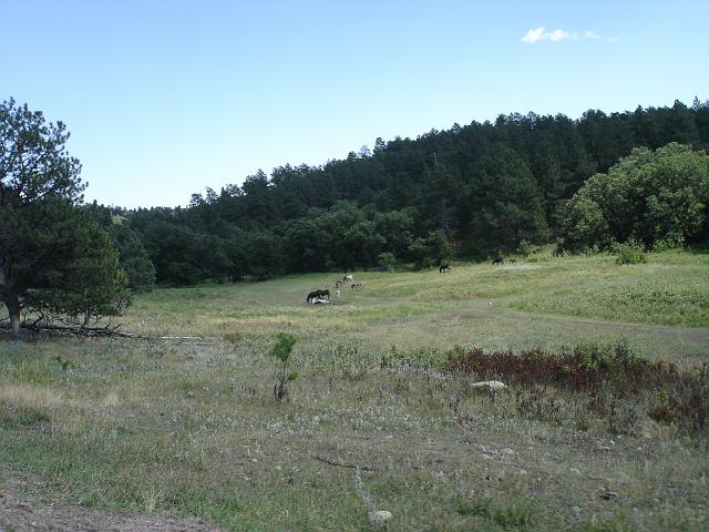 DSC08078.JPG