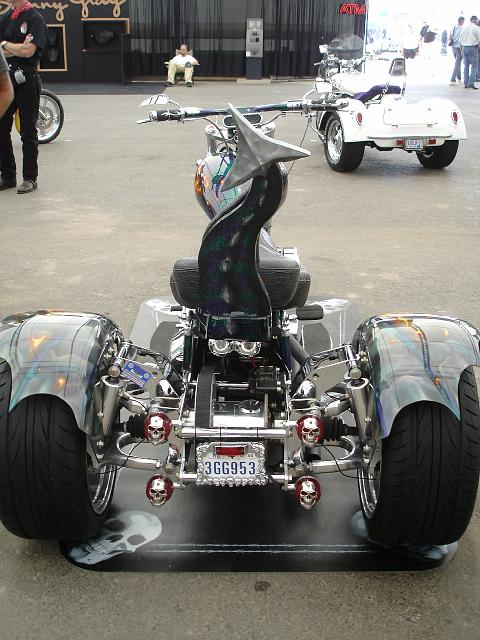 DSC08206.JPG