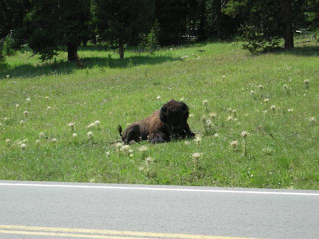 DSCN2599.JPG